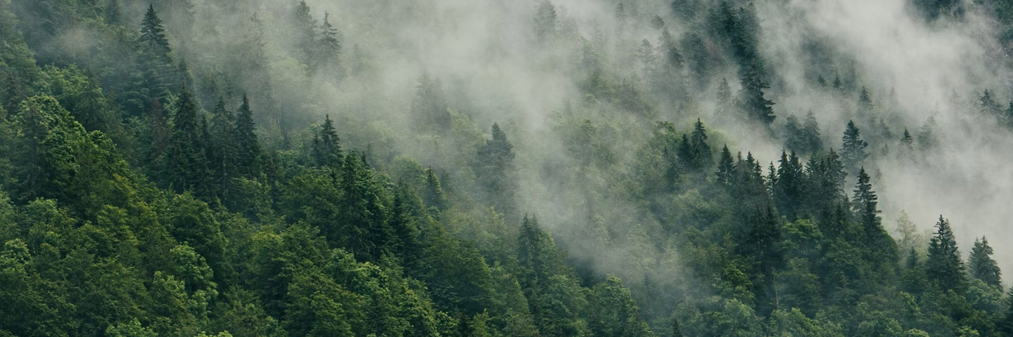 2节能减排 践行绿色生产.jpg